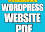 professional wordpress business blogging or ecommerce web design or redesign